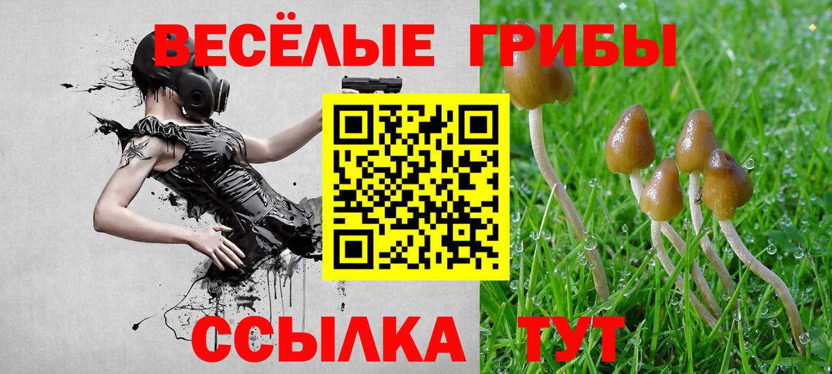 Псилоцибиновые грибы MAGIC MUSHROOMS  Вход с VPN  где продают   Еманжелинск 