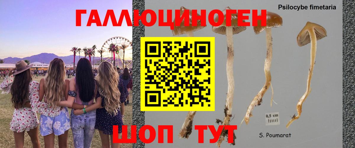 Псилоцибиновые грибы Magic Shrooms Еманжелинск